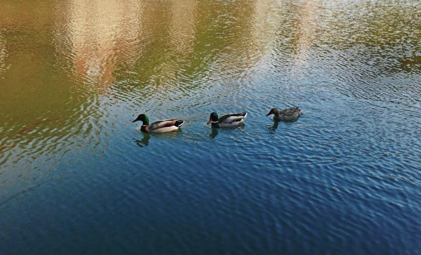 Apartman Cherry Gradac Valjevo Luaran gambar