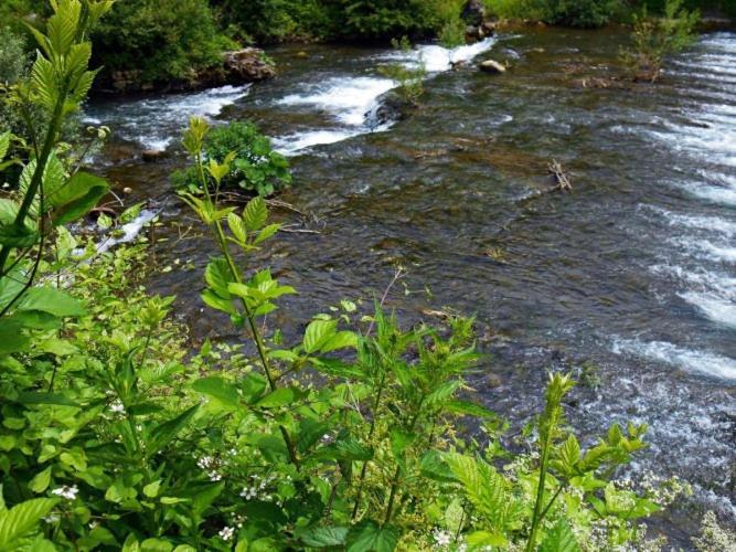 Apartman Cherry Gradac Valjevo Luaran gambar