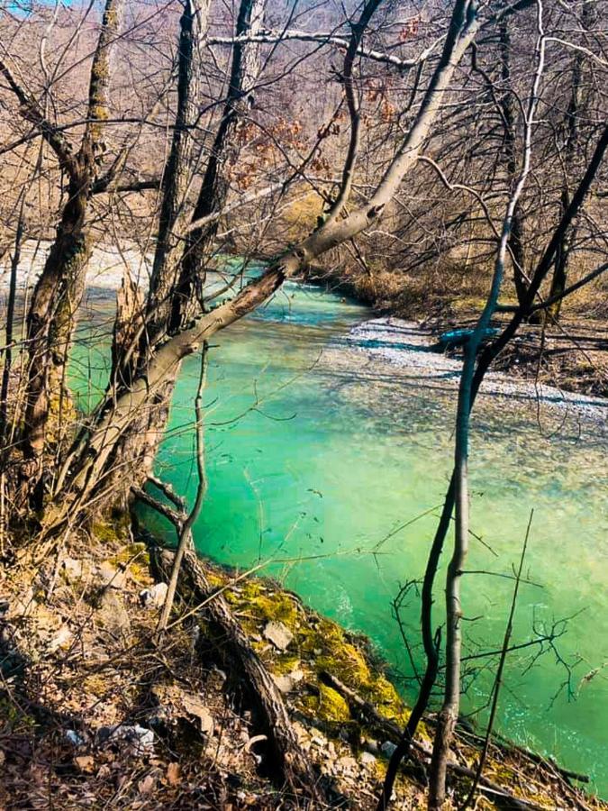 Apartman Cherry Gradac Valjevo Luaran gambar