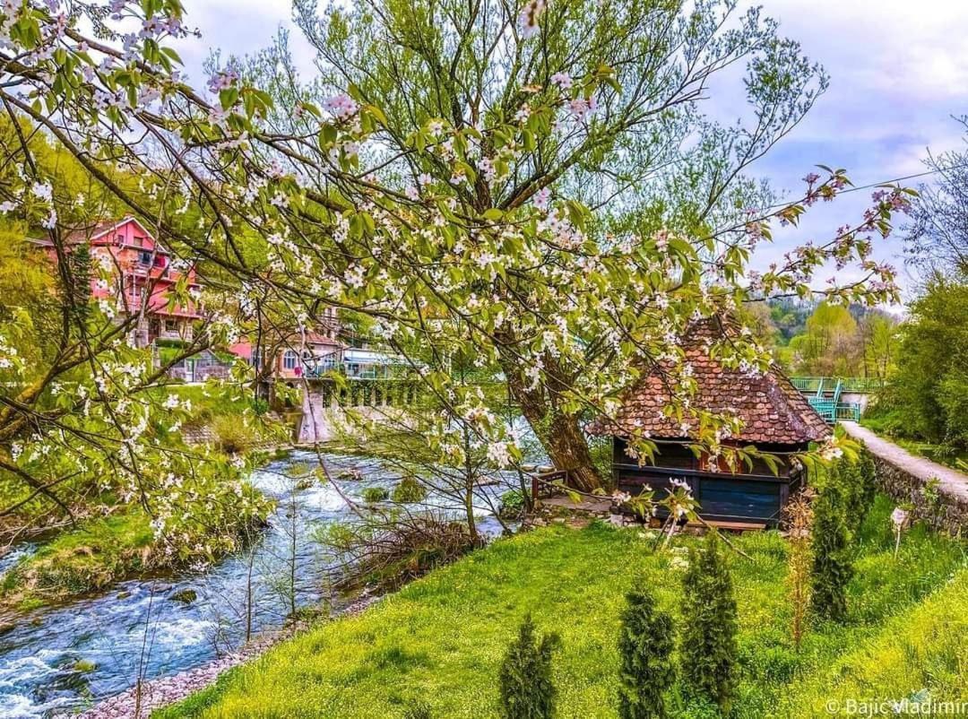 Apartman Cherry Gradac Valjevo Luaran gambar