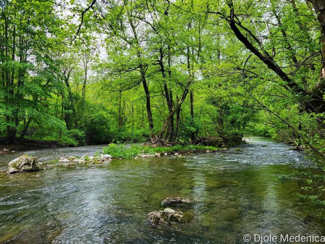 Apartman Cherry Gradac Valjevo Luaran gambar